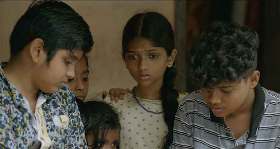 ELEPHANT IN THE ROOM