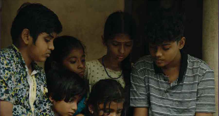 ELEPHANT IN THE ROOM